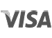 Credit Card Visa logo